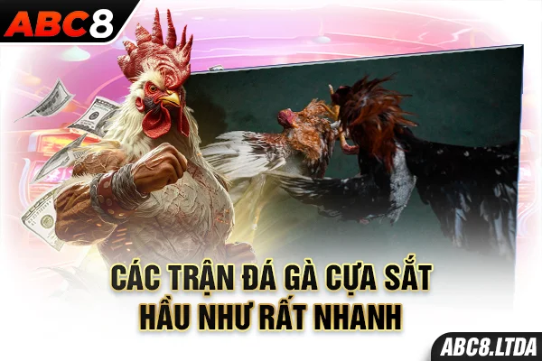 Các trận đá gà cựa sắt hầu như rất nhanh