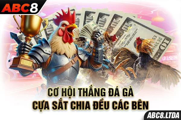 Cơ hội thắng đá gà cựa sắt chia đều các bên