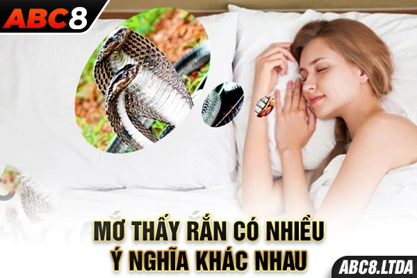 Mơ thấy rắn nói về nhiều ý nghĩa khác nhau 