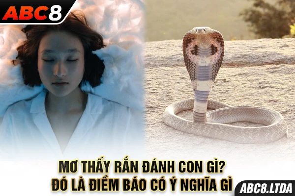 mơ thấy rắn