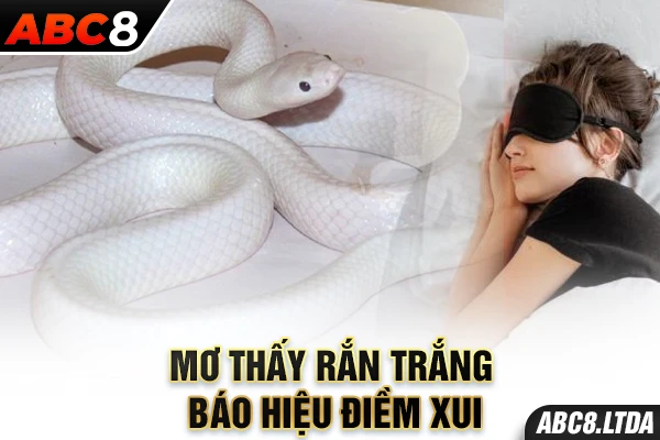 Mơ thấy rắn trắng báo hiệu điềm xui