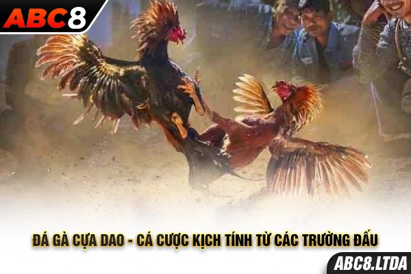 đá gà cựa dao